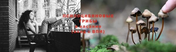 ешки Алзамай