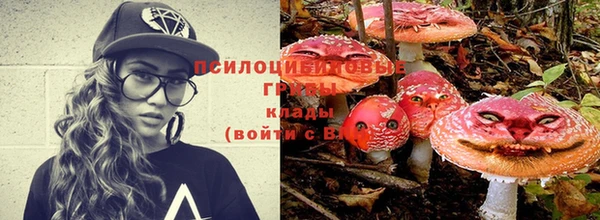 ешки Алзамай
