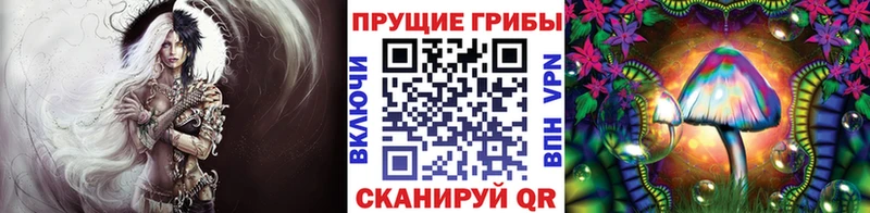 Псилоцибиновые грибы мицелий Алупка